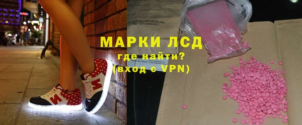 прущие грибы Белокуриха