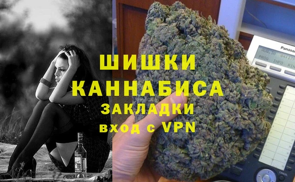 прущие грибы Беломорск