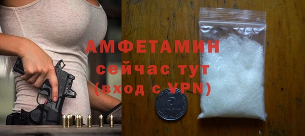 прущие грибы Беломорск