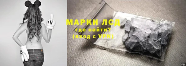 прущие грибы Беломорск
