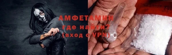 прущие грибы Беломорск