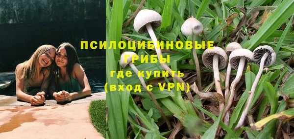 гидра Белоозёрский
