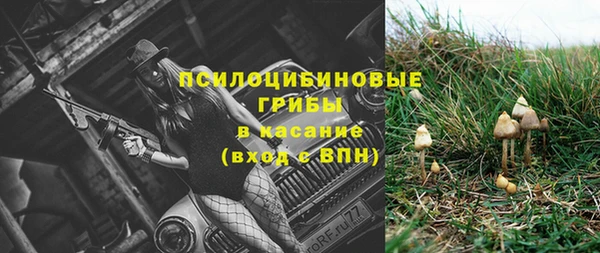 гидра Белоозёрский