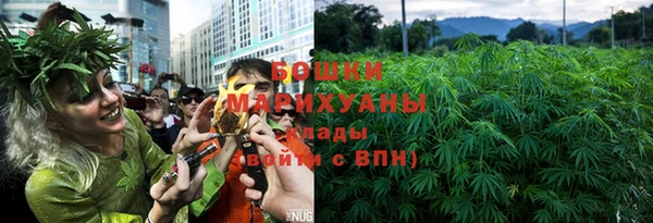 прущие грибы Беломорск