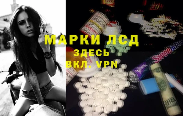 прущие грибы Белокуриха