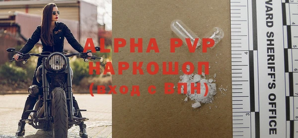 прущие грибы Белокуриха