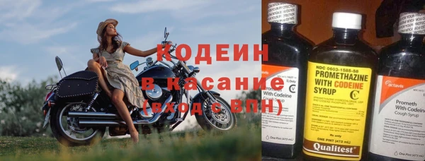 прущие грибы Беломорск