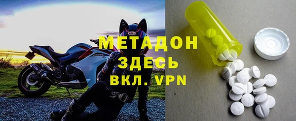 прущие грибы Беломорск