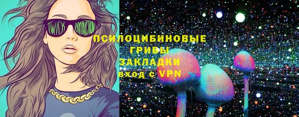 прущие грибы Белокуриха