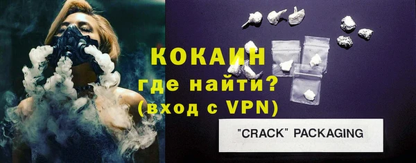 прущие грибы Белокуриха