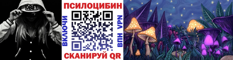 закладки  Горняк  shop состав  Галлюциногенные грибы Cubensis  mega маркетплейс 